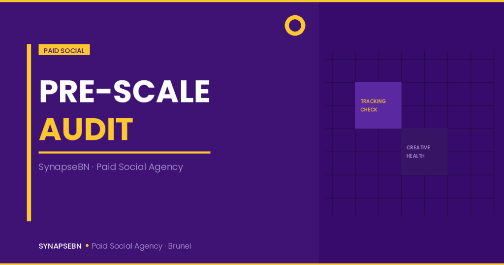 paid social audit