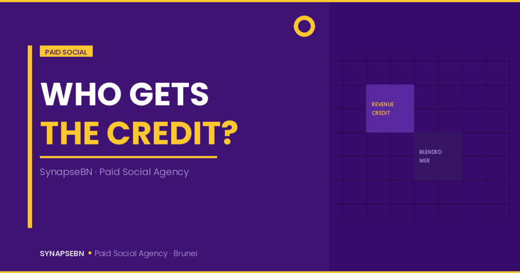 paid social revenue attribution